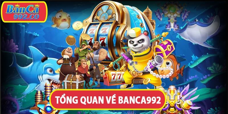 Giới thiệu tổng quan về banca992