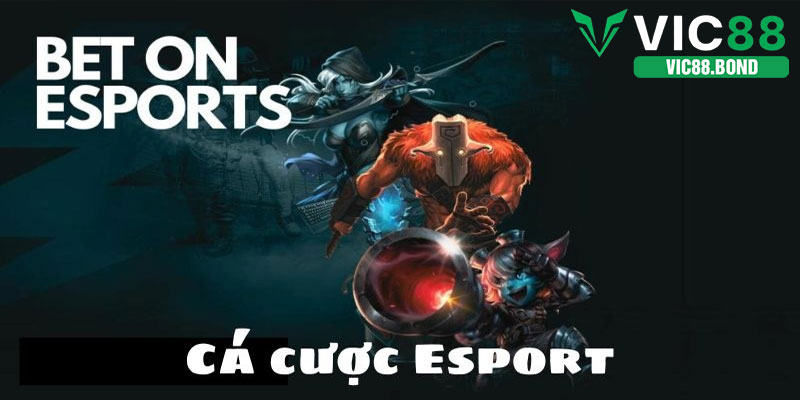 Hướng dẫn đặt cược Esports VIC88