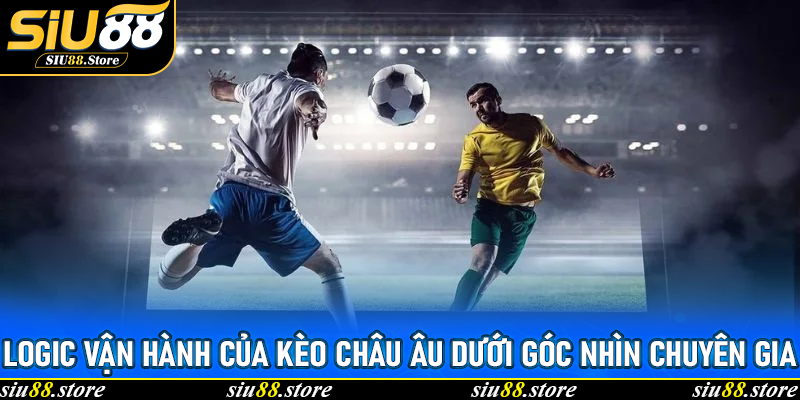 Logic vận hành của Kèo châu Âu dưới góc nhìn chuyên gia