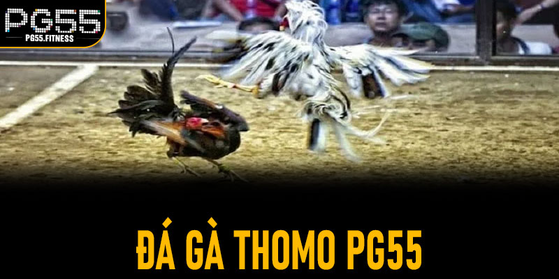 Đá Gà Thomo PG55